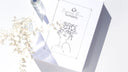Self: The 11 Best Lingerie Subscription Boxes Curated Just for You