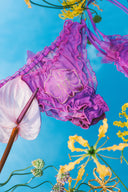 Orchidea Ruffled Brief - Empress Mimi