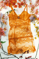 Queen Bee Dress - Empress Mimi
