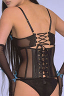 Morphology Waspie - Empress Mimi