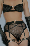 Astria High Waist Cheeky