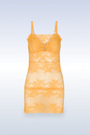 Queen Bee Dress