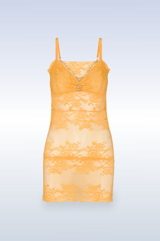 Queen Bee Dress and Panty Set