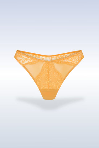 Queen Bee Dress and Panty Set
