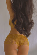 Zazzy Zelda Bikini Brief in Gold - Empress Mimi