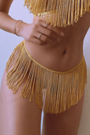 Zazzy Zelda Bikini Brief in Gold - Empress Mimi