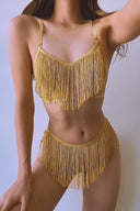 Zazzy Zelda Bikini Brief in Gold - Empress Mimi