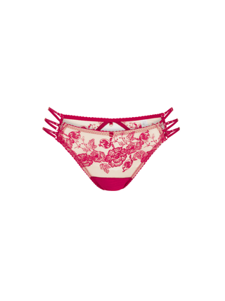Persephone Ouvert Brief